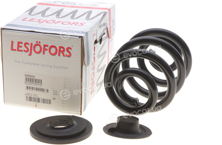 Lesjofors 4295019
