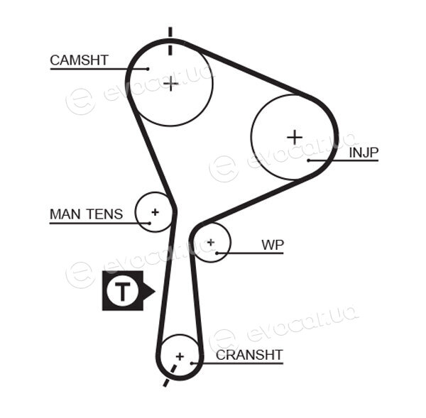 Gates K025552XS