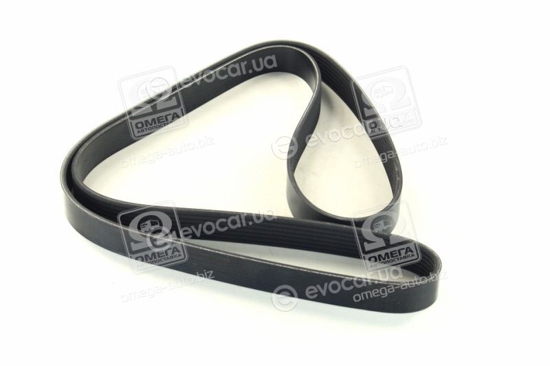 Dayco 7PK1605