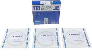 Mahle 009 81 N2