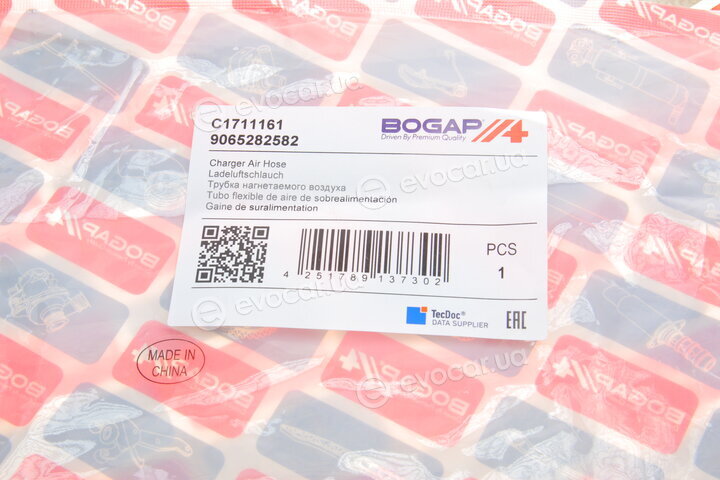Bogap C1711161