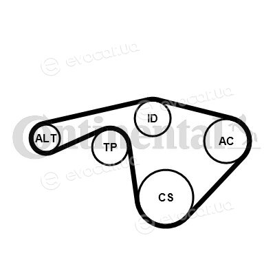 Continental 6PK1345 EXTRA K1