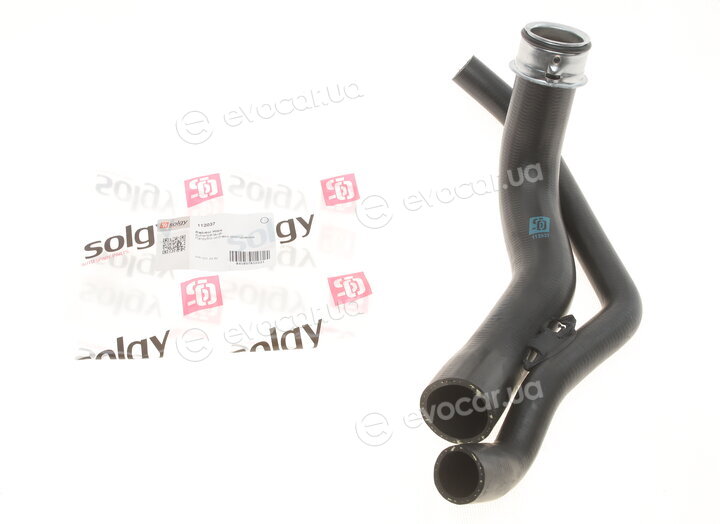 Solgy 112037