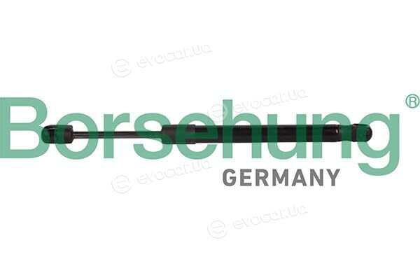 Borsehung B13098