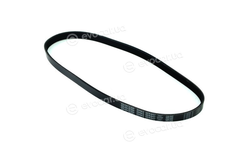 Dayco 5PK847