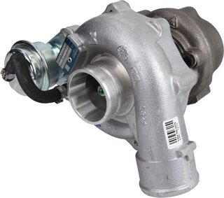 BorgWarner 53039880114