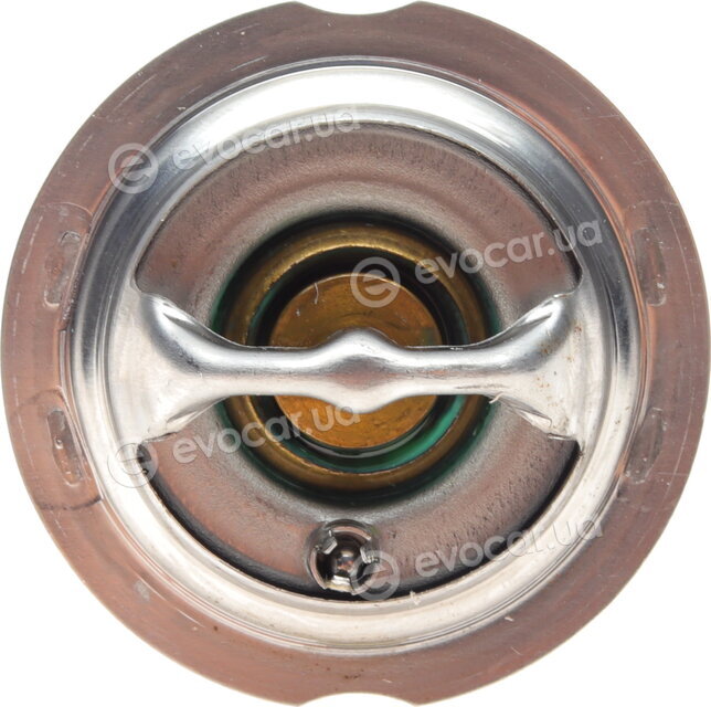 Mahle TX 123 95D