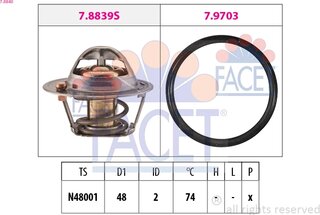 Facet 7.8840