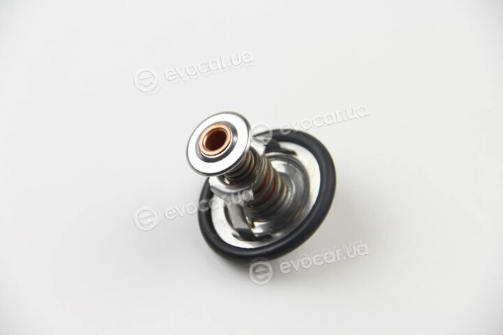Motorad 299-82K