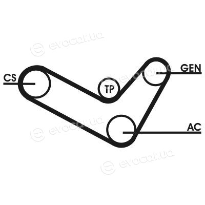 Continental 6PK1180D1