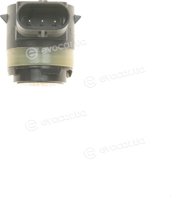 Vika 99191781201