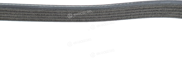 Dayco 5PK748EE