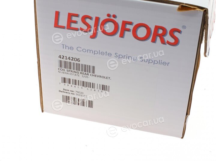 Lesjofors 4214206