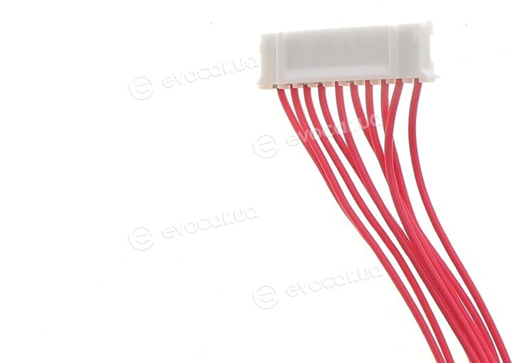 Adler 255405605R