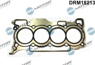 Dr. Motor DRM18213