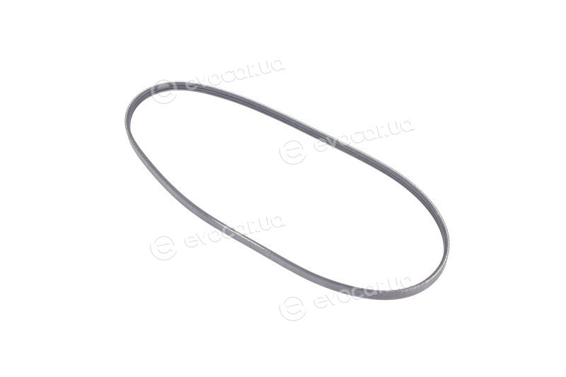 Dayco 3PK905