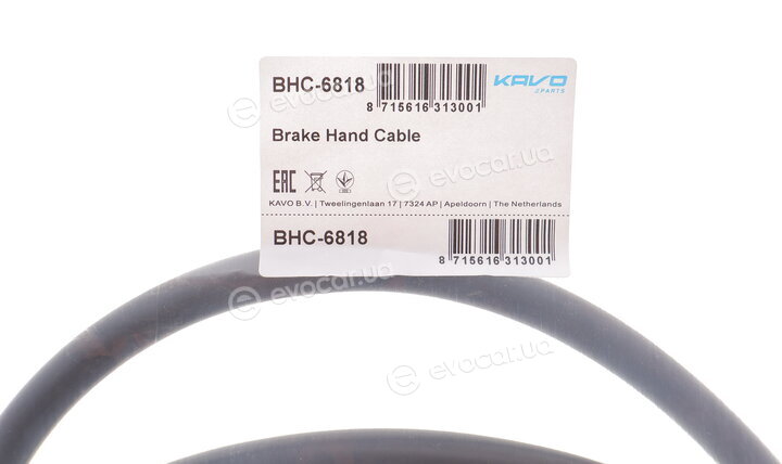 Kavo BHC-6818