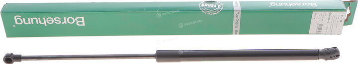 Borsehung B14194