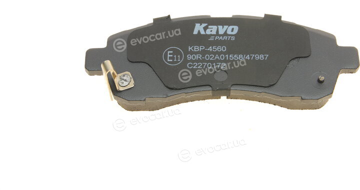 Kavo KBP-4560