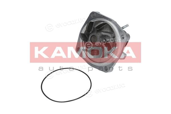 Kamoka T0006