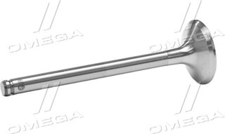 Gunes 4672
