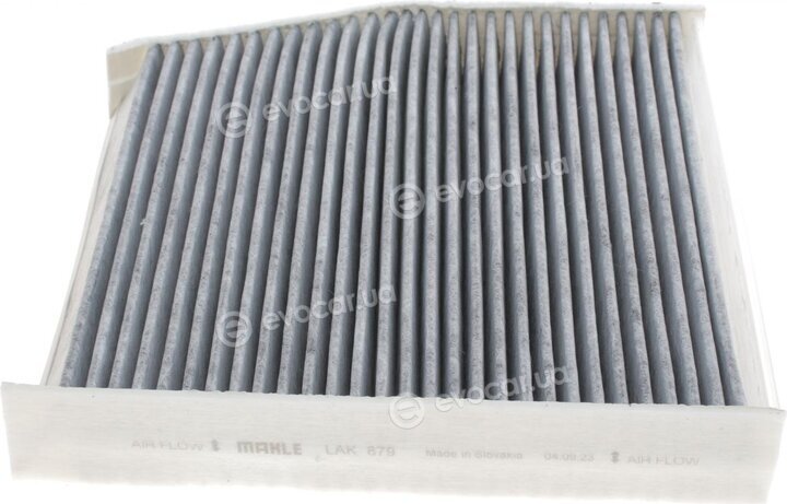 Mahle LAK 879