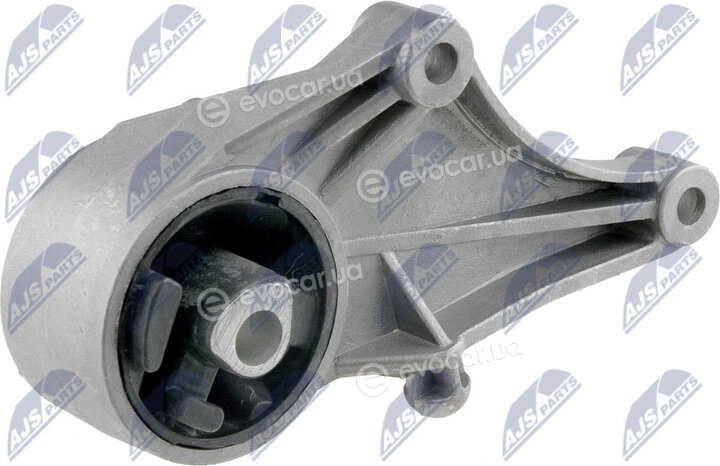 NTY ZPS-PL-012