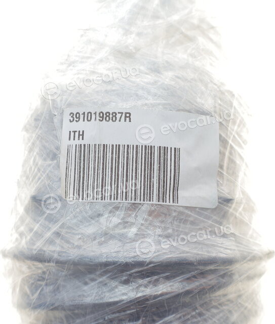 ITH 391019887R