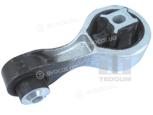 Tedgum 00507121