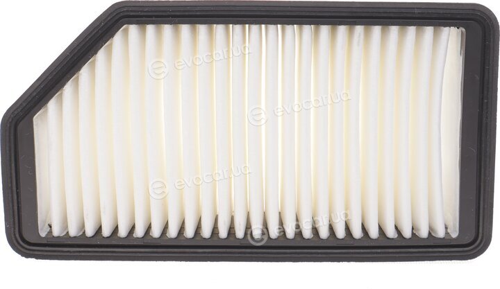 Mann C 25 013