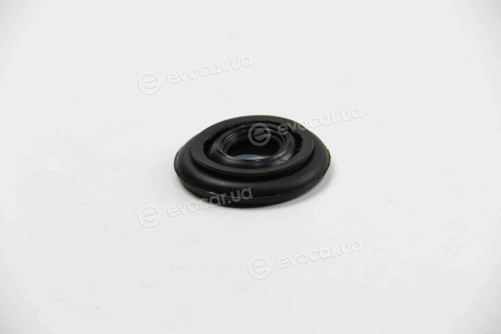 BC Guma 0205