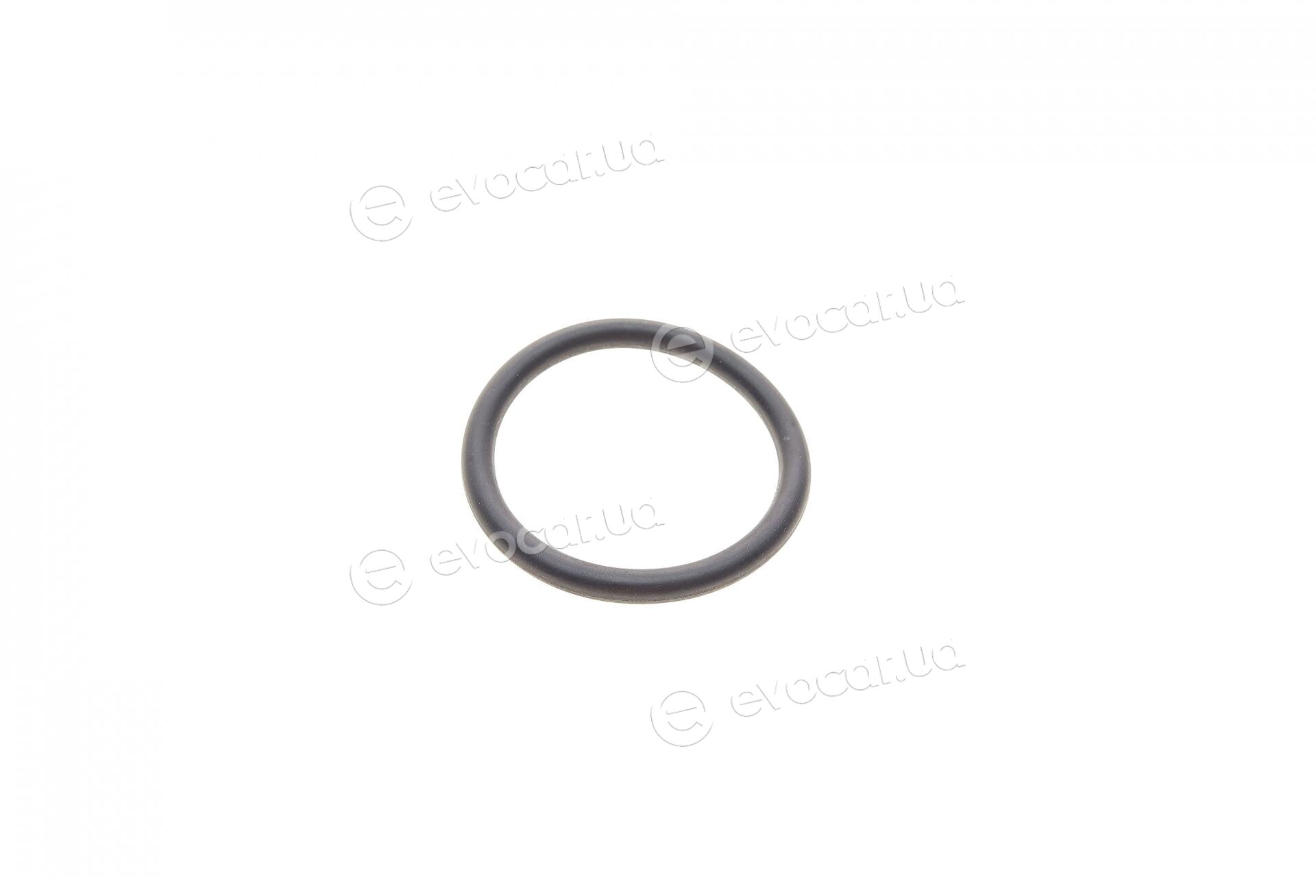 BMW / Mini 11428512434