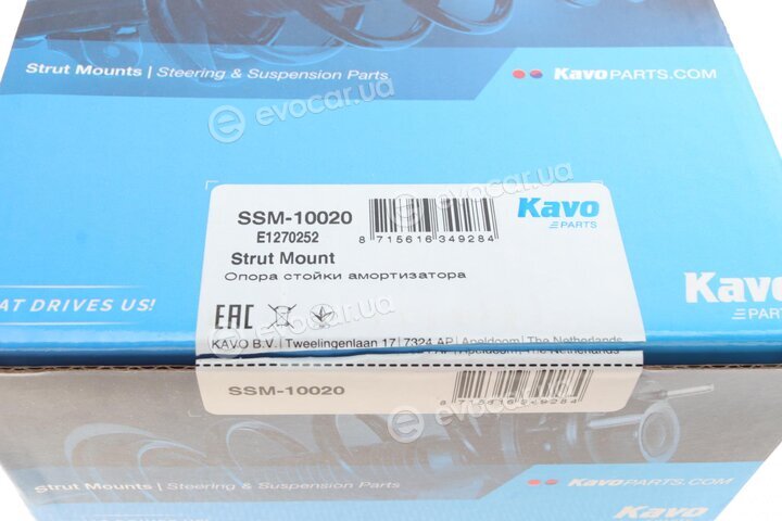 Kavo SSM-10020