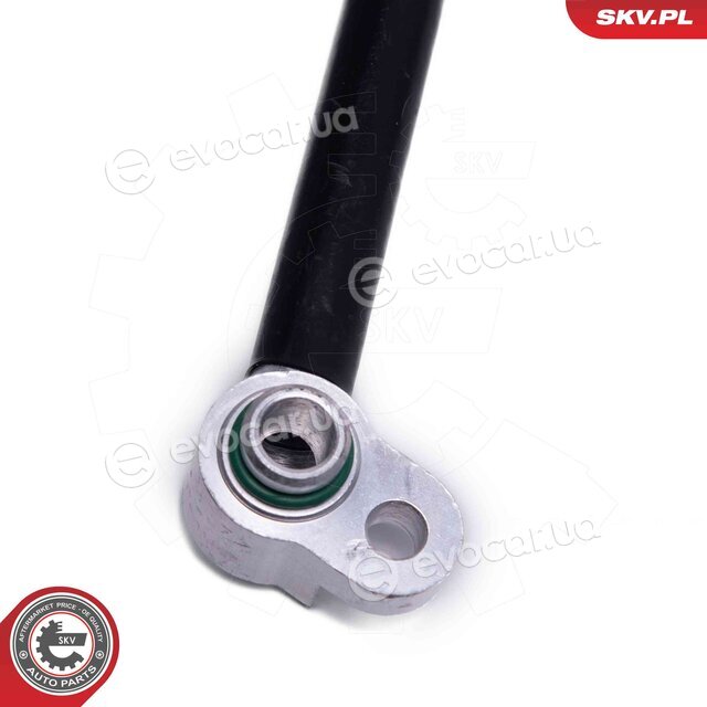 SKV 43SKV529