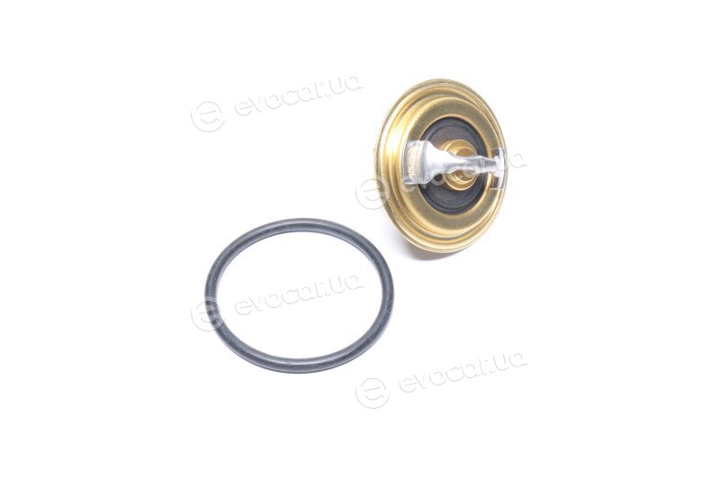 Wahler / BorgWarner 3472.87D