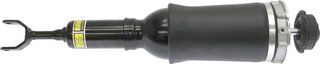 Starline TL V00008
