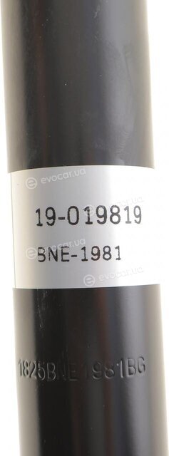 Bilstein 19-019819