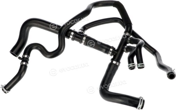 Gates 05-3973