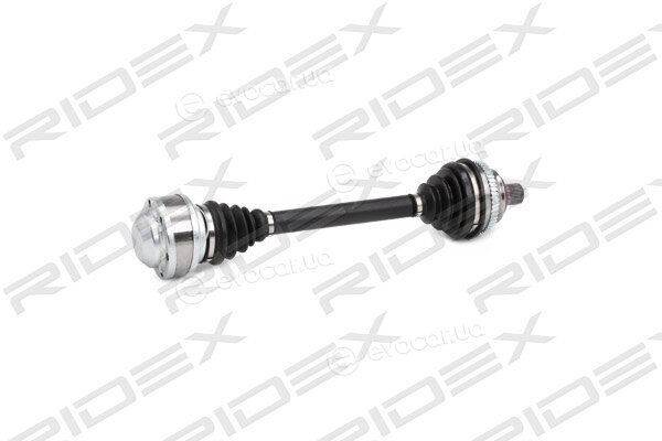 Ridex 13D0069