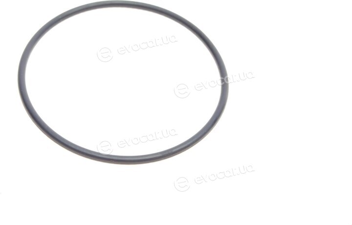 Elring 036.980