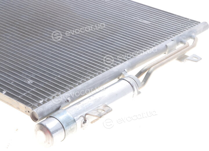 Van Wezel 58005324