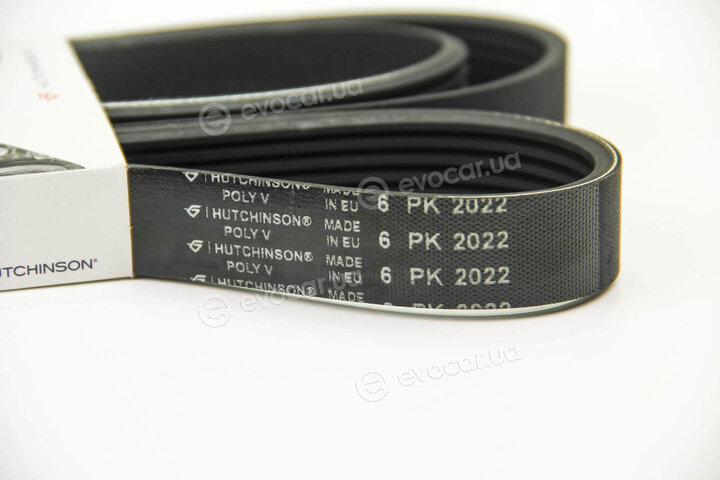 Hutchinson 2022 K 6