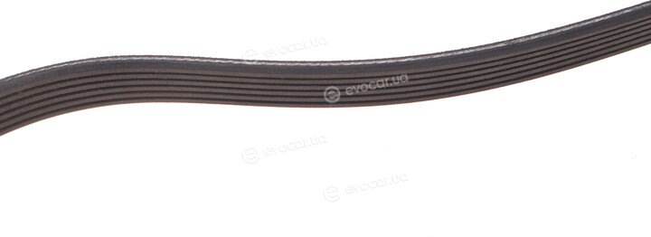 Dayco 6PK1245DT