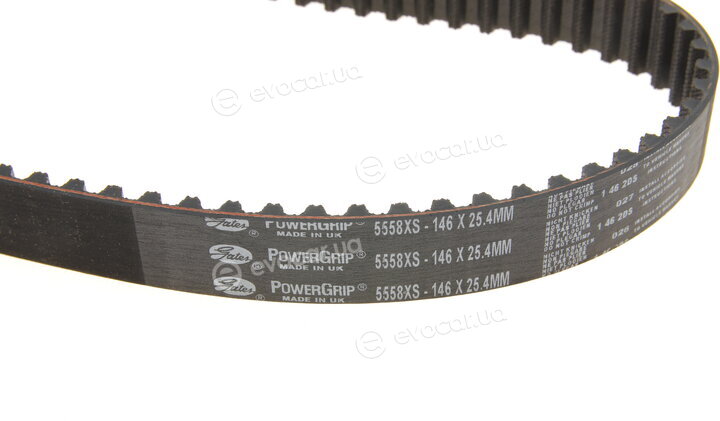 Gates K025558XS