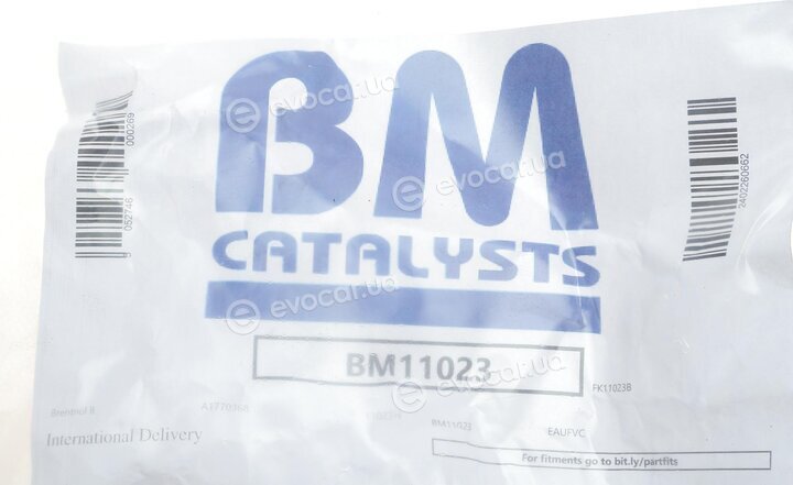 BM Catalysts BM11023