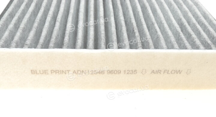 Blue Print ADN12546