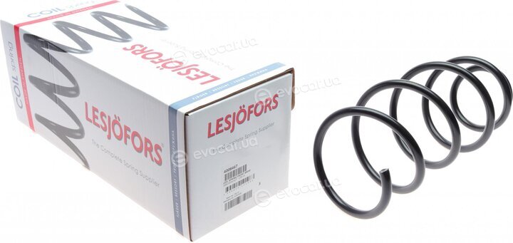 Lesjofors 4008467