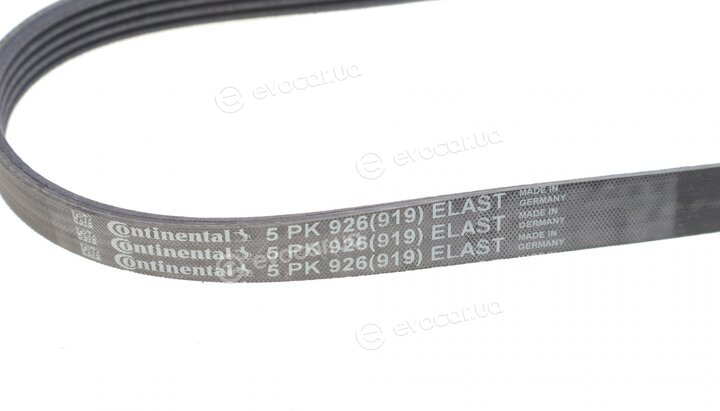 Continental 5PK926 ELAST