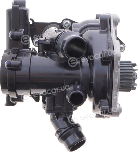 Hepu P673