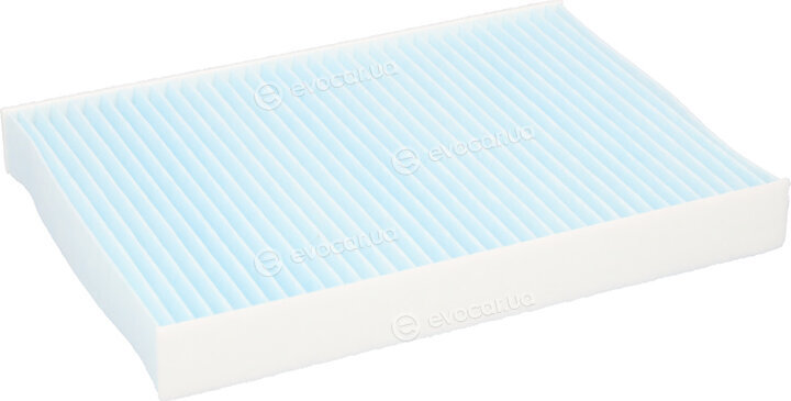 Blue Print ADBP250093